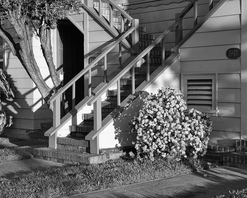 A black and white photograph of the front of a duplex in Oakland, California, featuring a flowering plant and late afternoon shadows